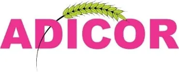 Logo ADICOR