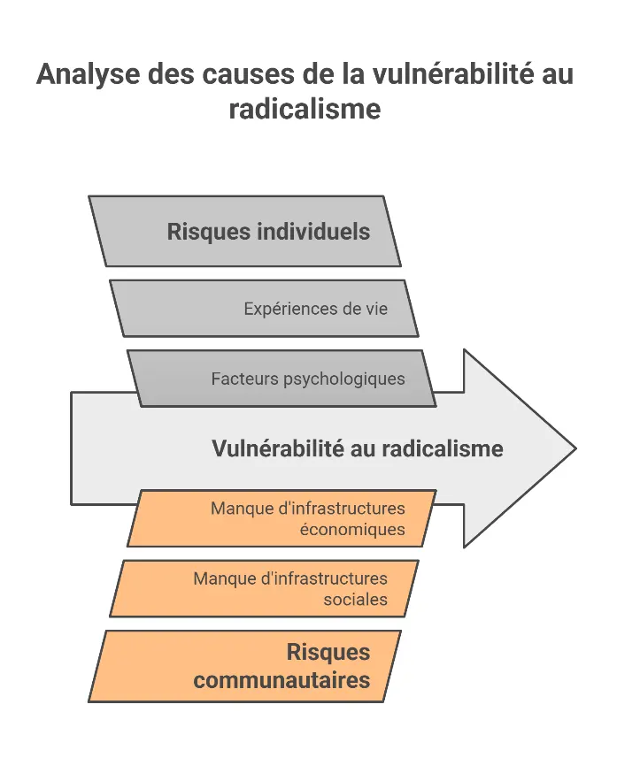 Schéma : analyse des causes de la vulnérabilité au radicalisme